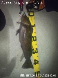 �����ʥ�