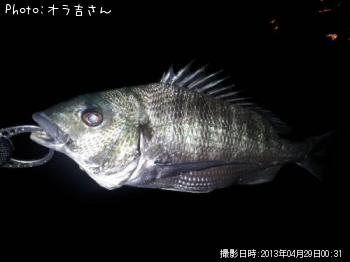 ¥Á¥Ì