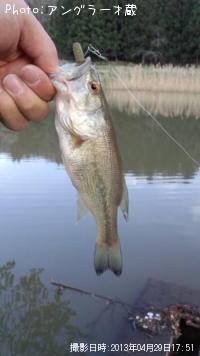 ¥Ö¥é¥Ã¥¯¥Ð¥¹