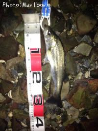 �����Х�