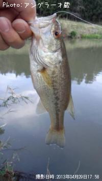 ¥Ö¥é¥Ã¥¯¥Ð¥¹