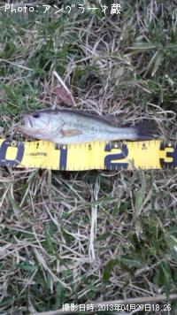 ¥Ö¥é¥Ã¥¯¥Ð¥¹