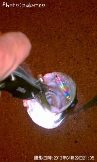 �����Х�