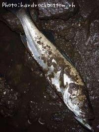 �����Х�