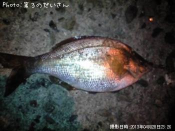 ���ߥ��ʥ�