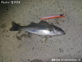 �����Х�