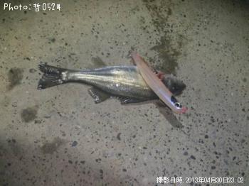 �����Х�