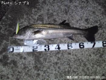 �����Х�