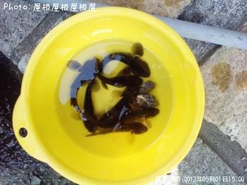 �ϥ�����