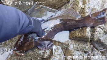 �����ʥ�