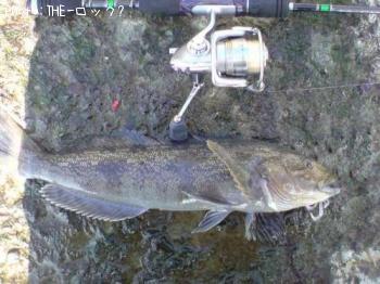 �����ʥ�