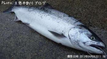 ¥µ¥¯¥é¥Þ¥¹