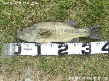 �֥�å��Х�