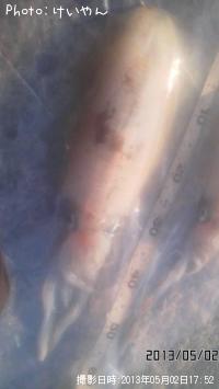 �����ꥤ��