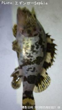 �����Υ���Х�