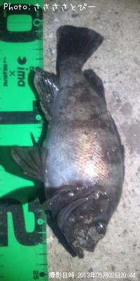 ¥¯¥ê¥¢¥á¥Ð¥ë