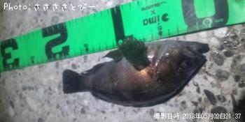 ¥¯¥ê¥¢¥á¥Ð¥ë