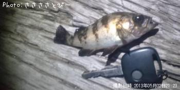 ¥¯¥ê¥¢¥á¥Ð¥ë