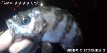 ¥¯¥ê¥¢¥á¥Ð¥ë