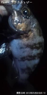 ¥¯¥ê¥¢¥á¥Ð¥ë