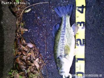 �֥�å��Х�