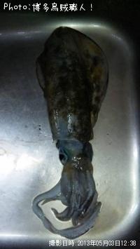 ¥¢¥ª¥ê¥¤¥«