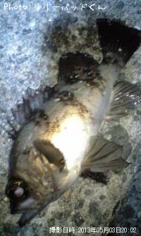 ��Х�����