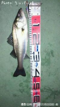 �����Х�