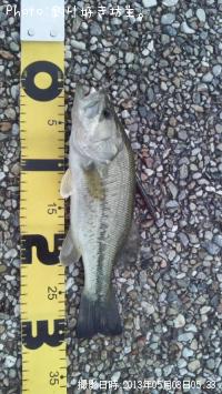 ¥Ö¥é¥Ã¥¯¥Ð¥¹