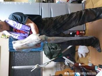 �����ꥤ��