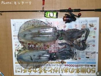 �����ꥤ��