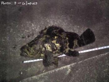 �����Υ���Х�