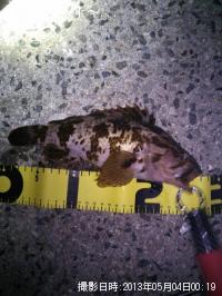 ¥¿¥±¥Î¥³¥á¥Ð¥ë