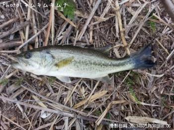 �֥�å��Х�