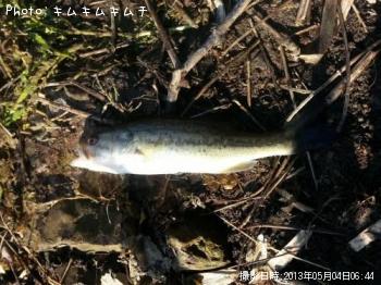 �֥�å��Х�