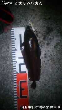 ���������ɥ�