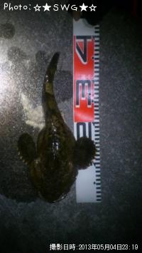 ���������ɥ�