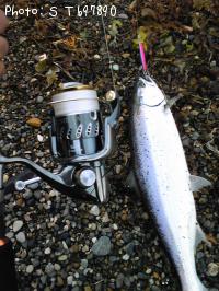 ¥µ¥¯¥é¥Þ¥¹