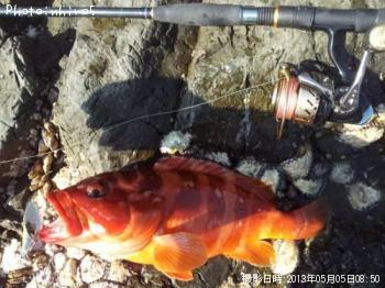 �����ϥ�