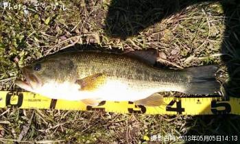 �֥�å��Х�