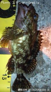 ���������ʥ������