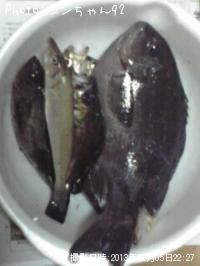 ¥¥¹¡¢¥á¥Ð¥ë