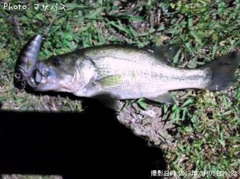 �֥�å��Х�