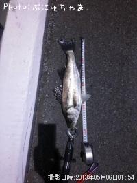 �����Х�