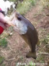 ¥é¡¼¥¸¥Þ¥¦¥¹