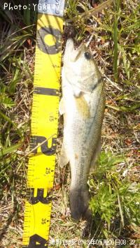 ¥Ö¥é¥Ã¥¯¥Ð¥¹