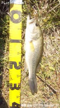 �֥�å��Х�