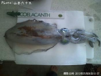 �����ꥤ��