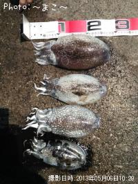 ����䥱����