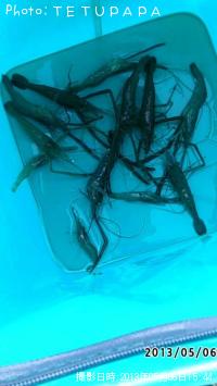 ��Ĺ����